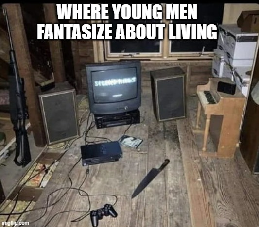 memes by Brad - Where men fantasize about living - humor - | WHERE YOUNG MEN FANTASIZE ABOUT LIVING | image tagged in gaming,funny,room,computers,video games,humor | made w/ Imgflip meme maker