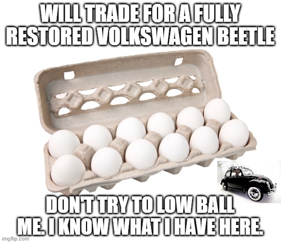 Carton of Eggs | WILL TRADE FOR A FULLY RESTORED VOLKSWAGEN BEETLE; DON'T TRY TO LOW BALL ME. I KNOW WHAT I HAVE HERE. | image tagged in carton of eggs,volkswagen,vw beetle | made w/ Imgflip meme maker