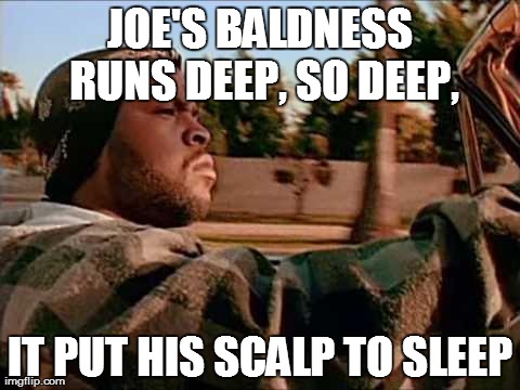 Today Was A Good Day | JOE'S BALDNESS RUNS DEEP, SO DEEP, IT PUT HIS SCALP TO SLEEP | image tagged in memes,today was a good day | made w/ Imgflip meme maker