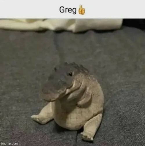 Greg ? | image tagged in greg | made w/ Imgflip meme maker