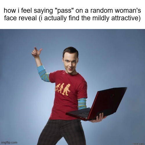 sheldon cooper laptop | how i feel saying "pass" on a random woman's face reveal (i actually find the mildly attractive) | image tagged in sheldon cooper laptop | made w/ Imgflip meme maker