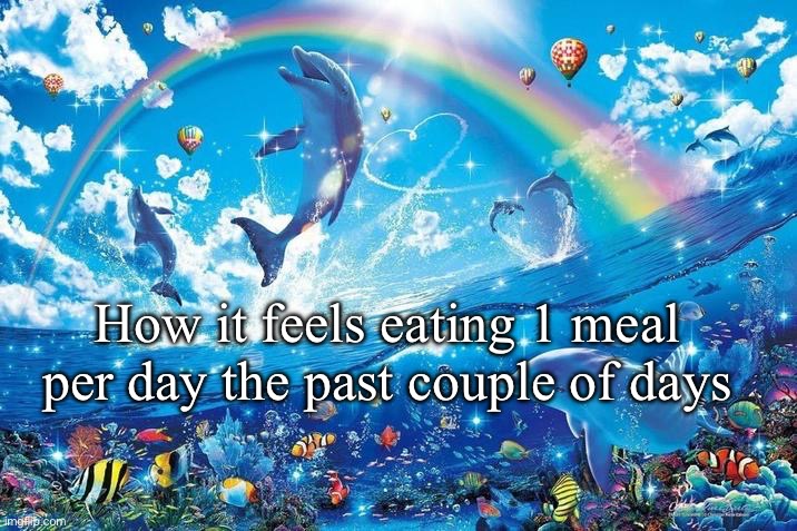 Happy dolphin rainbow | How it feels eating 1 meal per day the past couple of days | image tagged in happy dolphin rainbow | made w/ Imgflip meme maker