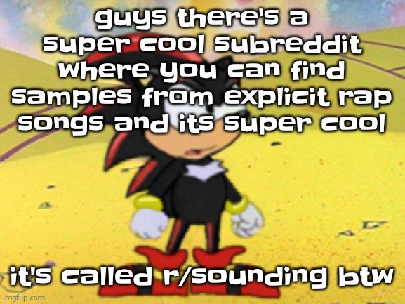 don't actually | guys there's a super cool subreddit where you can find samples from explicit rap songs and its super cool; it's called r/sounding btw | image tagged in adventures of shadow the hedgehog | made w/ Imgflip meme maker