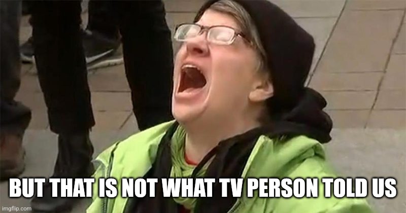 crying liberal | BUT THAT IS NOT WHAT TV PERSON TOLD US | image tagged in crying liberal | made w/ Imgflip meme maker