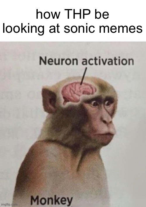 Neuron Activation Monkey | how THP be looking at sonic memes | image tagged in neuron activation monkey | made w/ Imgflip meme maker