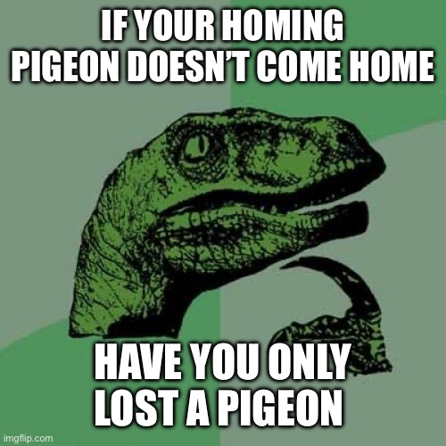 Hmmmmm | IF YOUR HOMING PIGEON DOESN’T COME HOME; HAVE YOU ONLY LOST A PIGEON | image tagged in memes,philosoraptor | made w/ Imgflip meme maker