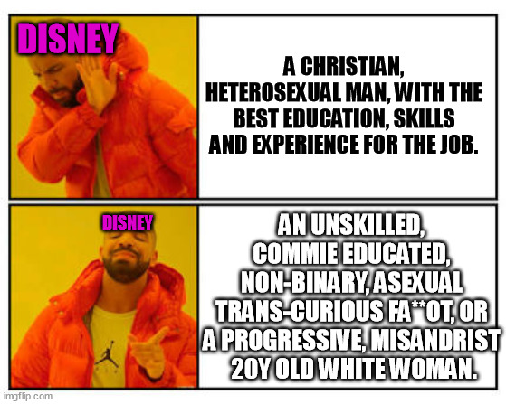 How the genocidal disney corporation business plan looks like. | A CHRISTIAN, HETEROSEXUAL MAN, WITH THE BEST EDUCATION, SKILLS AND EXPERIENCE FOR THE JOB. DISNEY; AN UNSKILLED, COMMIE EDUCATED, NON-BINARY, ASEXUAL TRANS-CURIOUS FA**OT, OR A PROGRESSIVE, MISANDRIST  20Y OLD WHITE WOMAN. DISNEY | image tagged in memes,funny,christian,non binary,progressive,disney | made w/ Imgflip meme maker