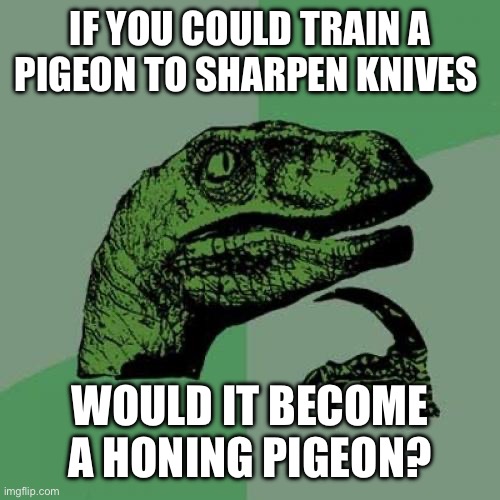 Hmmmmm | IF YOU COULD TRAIN A PIGEON TO SHARPEN KNIVES; WOULD IT BECOME A HONING PIGEON? | image tagged in memes,philosoraptor | made w/ Imgflip meme maker