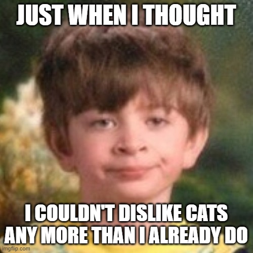 Annoyed face | JUST WHEN I THOUGHT I COULDN'T DISLIKE CATS ANY MORE THAN I ALREADY DO | image tagged in annoyed face | made w/ Imgflip meme maker