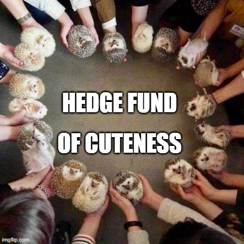 hedge fund of cuteness | HEDGE FUND; OF CUTENESS | image tagged in hedge | made w/ Imgflip meme maker