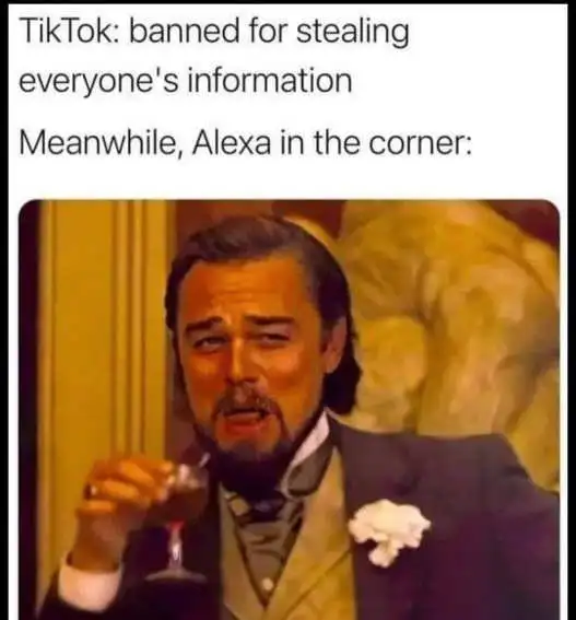TikTok Blank Meme Template