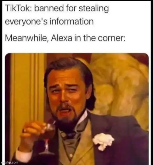 Is there any privacy anymore? | image tagged in tiktok,alexa,privacy,listening,big brother | made w/ Imgflip meme maker