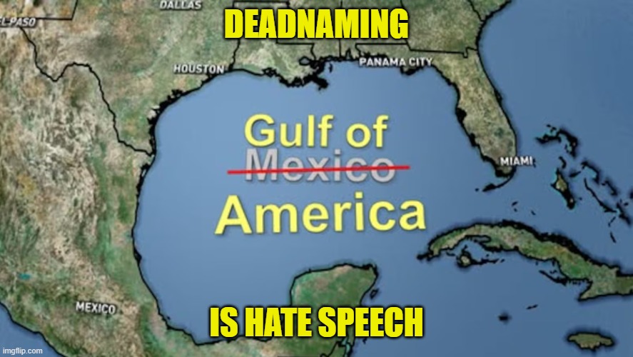 Hate Speech will be prosecuted | DEADNAMING; IS HATE SPEECH | image tagged in hate speech,woke,america,maga,trump,golden age | made w/ Imgflip meme maker