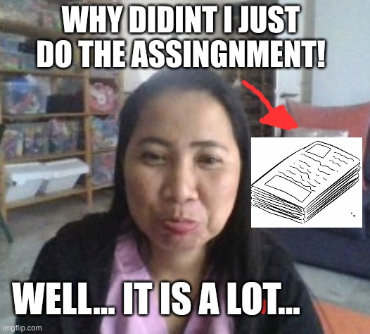 when we try to meet the expectations | WHY DIDINT I JUST DO THE ASSINGNMENT! WELL... IT IS A LOT... | image tagged in ofw bahrain,cutie | made w/ Imgflip meme maker