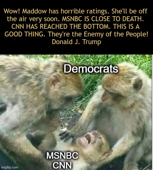 Lying Liberal Media on Life Support | Wow! Maddow has horrible ratings. She'll be off 
the air very soon. MSNBC IS CLOSE TO DEATH. 
CNN HAS REACHED THE BOTTOM. THIS IS A 
GOOD THING. They're the Enemy of the People!
Donald J. Trump; Democrats; MSNBC
CNN | image tagged in mainstream media,biased media,dying,life support,donald trump,media lies | made w/ Imgflip meme maker