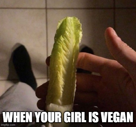 No Meat | WHEN YOUR GIRL IS VEGAN | image tagged in sex jokes | made w/ Imgflip meme maker