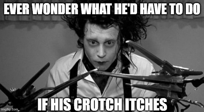 Plot Hole | EVER WONDER WHAT HE'D HAVE TO DO; IF HIS CROTCH ITCHES | image tagged in edward scissorhands | made w/ Imgflip meme maker