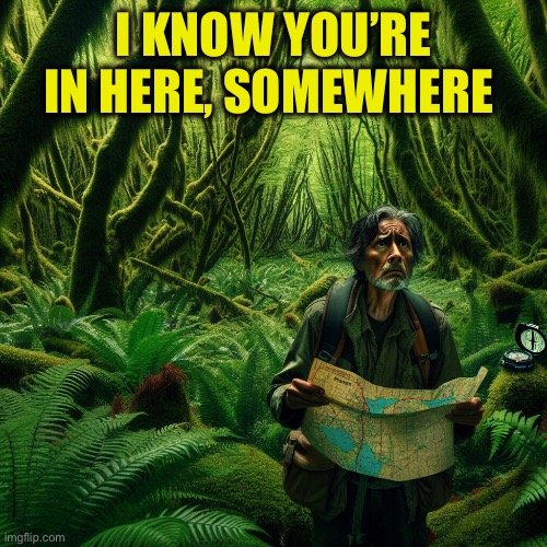 person lost in forest | I KNOW YOU’RE IN HERE, SOMEWHERE | image tagged in person lost in forest | made w/ Imgflip meme maker