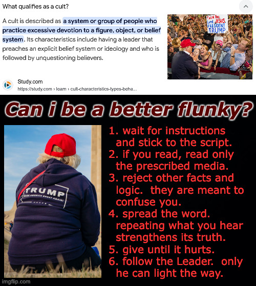 The rules are simple. | Can i be a better flunky? 1. wait for instructions
  and stick to the script.
2. if you read, read only
  the prescribed media.
3. reject other facts and
  logic.  they are meant to
  confuse you.
4. spread the word.
  repeating what you hear
  strengthens its truth.
5. give until it hurts.
6. follow the Leader.  only
  he can light the way. | image tagged in memes,cult,trump supporters | made w/ Imgflip meme maker