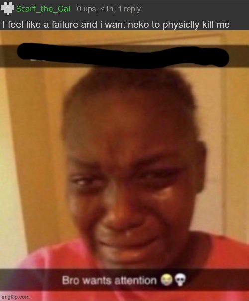image tagged in bro wants attention | made w/ Imgflip meme maker