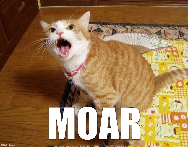 moar cat | MOAR | image tagged in moar cat | made w/ Imgflip meme maker