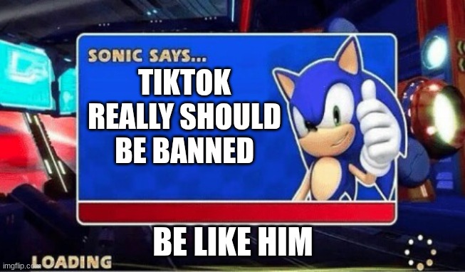 Ban TikTok again plz | TIKTOK REALLY SHOULD BE BANNED; BE LIKE HIM | image tagged in sonic says | made w/ Imgflip meme maker