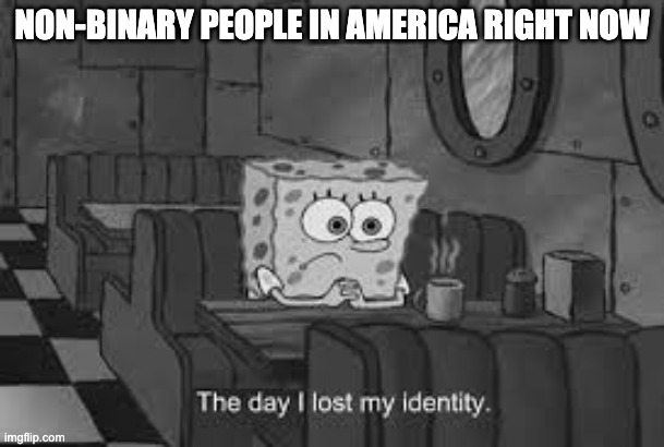 Please be respectful. | NON-BINARY PEOPLE IN AMERICA RIGHT NOW | image tagged in the day i lost my identity,non binary,politics | made w/ Imgflip meme maker