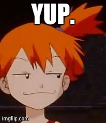 Derp Face Misty | YUP. | image tagged in derp face misty | made w/ Imgflip meme maker