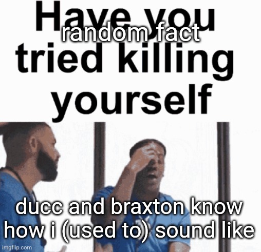 have you tried killing yourself | random fact; ducc and braxton know how i (used to) sound like | image tagged in have you tried killing yourself | made w/ Imgflip meme maker