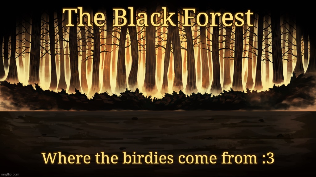 The Black Forest; Where the birdies come from :3 | made w/ Imgflip meme maker