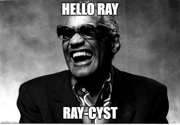 Ray Charles | HELLO RAY RAY-CYST | image tagged in ray charles | made w/ Imgflip meme maker