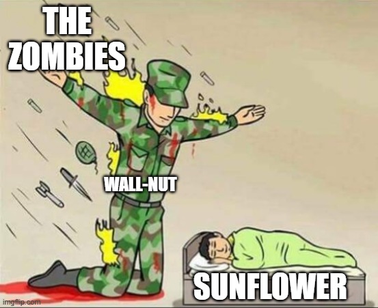 Soldier protecting sleeping child | THE ZOMBIES; WALL-NUT; SUNFLOWER | image tagged in soldier protecting sleeping child | made w/ Imgflip meme maker