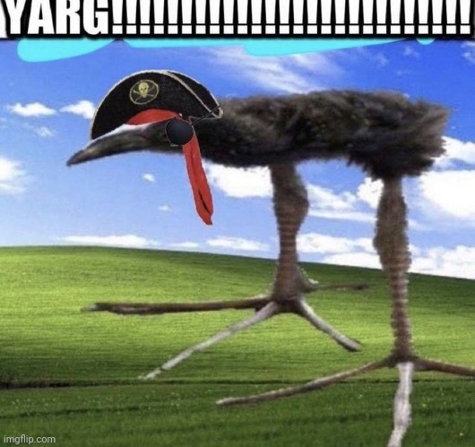 YARG!!!!!!!!!!!! | image tagged in yarg | made w/ Imgflip meme maker