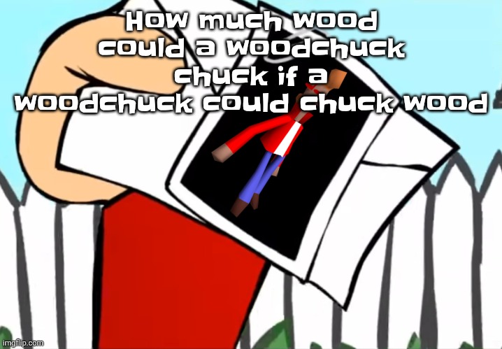 Every concept you understand is not right | How much wood could a woodchuck chuck if a woodchuck could chuck wood | image tagged in every concept you understand is not right | made w/ Imgflip meme maker