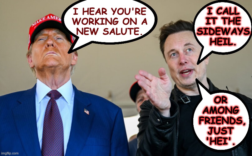 Code. | I CALL
IT THE
SIDEWAYS
HEIL. I HEAR YOU'RE
WORKING ON A
NEW SALUTE. OR
AMONG
 FRIENDS,
JUST
'HEI'. | image tagged in memes,elon trump,hi | made w/ Imgflip meme maker