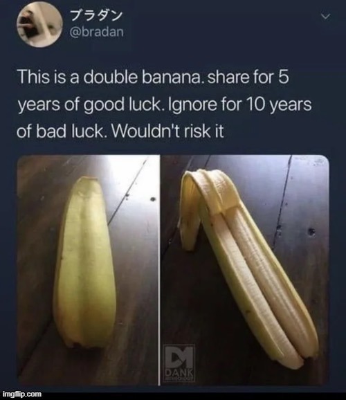 Double Banana | image tagged in double banana | made w/ Imgflip meme maker