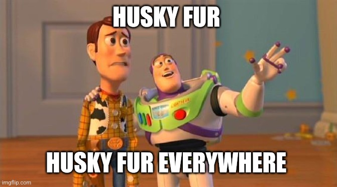 Buzz And Woody | HUSKY FUR; HUSKY FUR EVERYWHERE | image tagged in buzz and woody | made w/ Imgflip meme maker