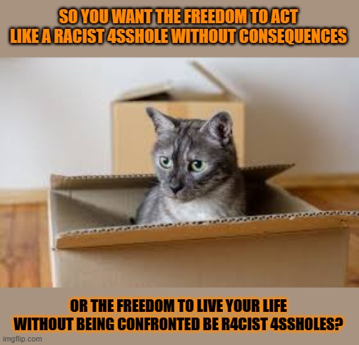 This #lolcat states 'Freedom!' shouters usually demand the freedom to act like r4cist 4ssholes without consequences | SO YOU WANT THE FREEDOM TO ACT LIKE A RACIST 4SSHOLE WITHOUT CONSEQUENCES; OR THE FREEDOM TO LIVE YOUR LIFE WITHOUT BEING CONFRONTED BE R4CIST 4SSHOLES? | image tagged in racism,lolcat,freedom | made w/ Imgflip meme maker