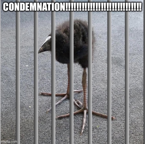 CONDEMNATION!!!!!!!!!!!!!!!!!!!!!!!!!!!! | made w/ Imgflip meme maker