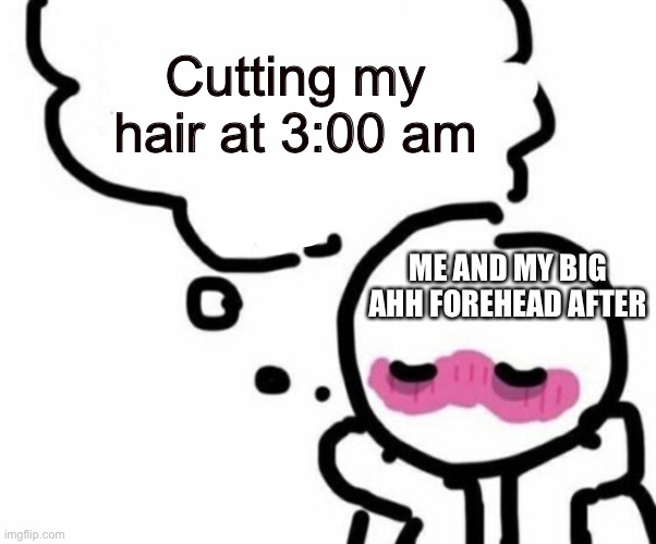 BLUSHY  BOIII | Cutting my hair at 3:00 am; ME AND MY BIG AHH FOREHEAD AFTER | image tagged in blushy boiii | made w/ Imgflip meme maker