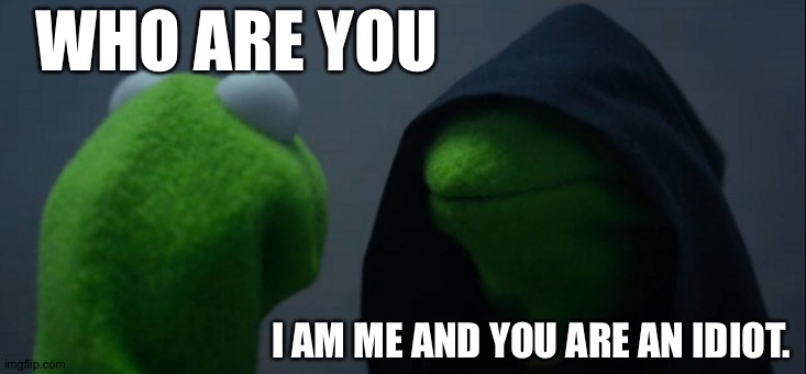 Evil Kermit | WHO ARE YOU; I AM ME AND YOU ARE AN IDIOT. | image tagged in memes,evil kermit | made w/ Imgflip meme maker