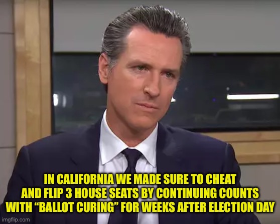 Governor California | IN CALIFORNIA WE MADE SURE TO CHEAT AND FLIP 3 HOUSE SEATS BY CONTINUING COUNTS WITH “BALLOT CURING” FOR WEEKS AFTER ELECTION DAY | image tagged in governor california | made w/ Imgflip meme maker