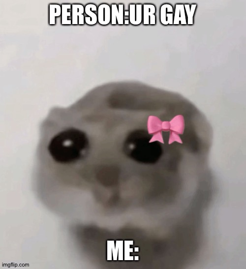 Sadge Hamsti ?? | PERSON:UR GAY; ME: | image tagged in sadge hamsti | made w/ Imgflip meme maker