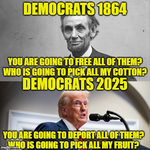 161 years later | DEMOCRATS 1864; YOU ARE GOING TO FREE ALL OF THEM?
WHO IS GOING TO PICK ALL MY COTTON? DEMOCRATS 2025; YOU ARE GOING TO DEPORT ALL OF THEM?
WHO IS GOING TO PICK ALL MY FRUIT? | image tagged in slavery,illegal immigration,democrats,democrat,deportation,maga | made w/ Imgflip meme maker