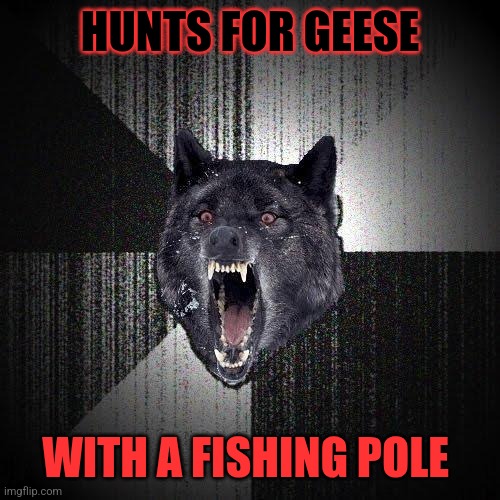 Insanity Wolf Meme | HUNTS FOR GEESE WITH A FISHING POLE | image tagged in memes,insanity wolf | made w/ Imgflip meme maker