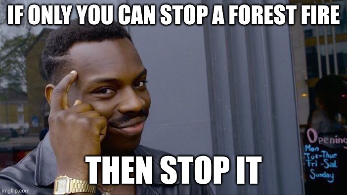 think about it | IF ONLY YOU CAN STOP A FOREST FIRE; THEN STOP IT | image tagged in memes,roll safe think about it | made w/ Imgflip meme maker