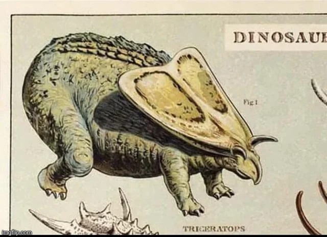 Fat Trike.mp3 | made w/ Imgflip meme maker