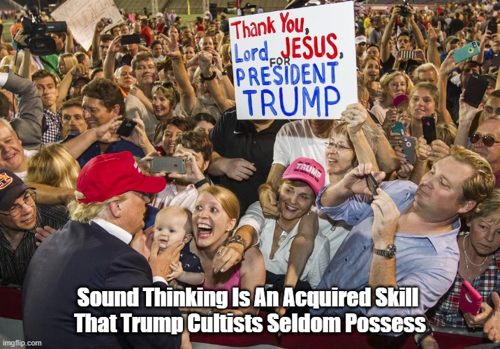 Sound Thinking Is An Acquired Skill That Trump Cultists........ | Sound Thinking Is An Acquired Skill 
That Trump Cultists Seldom Possess | image tagged in critical thinking,sould thinking,gullible christians,trump,felon worship | made w/ Imgflip meme maker