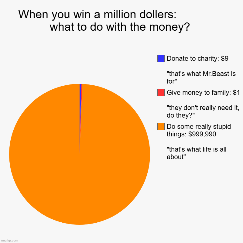 If you win a million dollers | When you win a million dollers:               what to do with the money? | Do some really stupid things: $999,990                            | image tagged in charts,pie charts | made w/ Imgflip chart maker