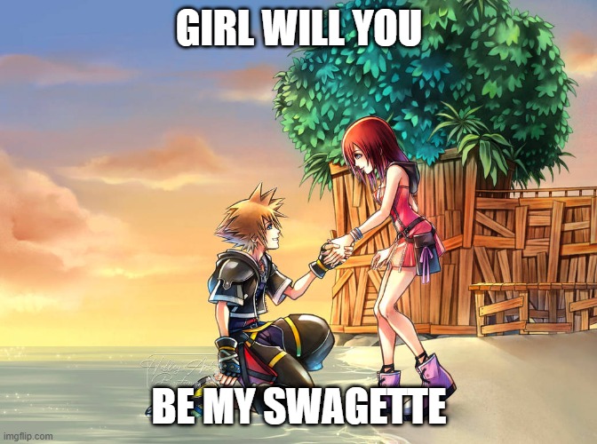 we get it u drink arizona | GIRL WILL YOU; BE MY SWAGETTE | image tagged in kingdom hearts,swag | made w/ Imgflip meme maker